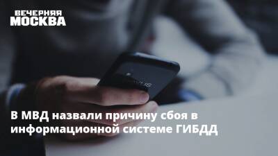 В МВД назвали причину сбоя в информационной системе ГИБДД - vm.ru - Россия