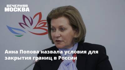 Анна Попова - Анна Попова назвала условия для закрытия границ в России - vm.ru - Россия