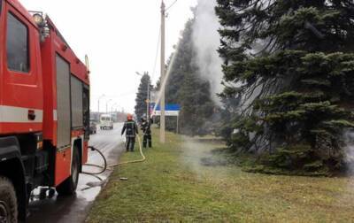 В Кривом Роге женщина случайно подожгла огромную ель - korrespondent.net - Украина - Кривой Рог