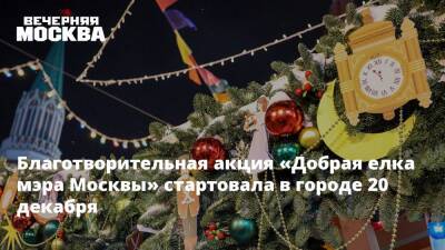 Анастасия Ракова - Анастасий Раков - Благотворительная акция «Добрая елка мэра Москвы» стартовала в городе 20 декабря - vm.ru - Москва