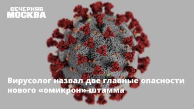 Александр Чепурнов - Вирусолог назвал две главные опасности нового «омикрон»-штамма - vm.ru