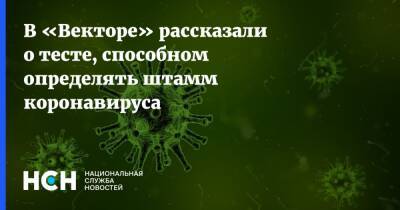 Ринат Максютов - В «Векторе» рассказали о тесте, способном определять штамм коронавируса - nsn.fm