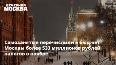 Владимир Ефимов - Самозанятые перечислили в бюджет Москвы более 533 миллионов рублей налогов в ноябре - vm.ru - Москва