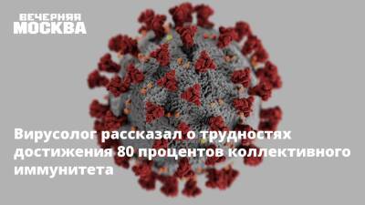 Алексей Аграновский - Вирусолог рассказал о трудностях достижения 80 процентов коллективного иммунитета - vm.ru - Россия