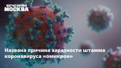 Названа причина заразности штамма коронавируса «омикрон» - vm.ru - Колумбия