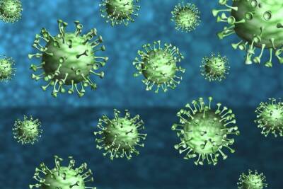 Вирусологи сообщают: коронавирус нашел «подпольный» путь распространения - abnews.ru - штат Огайо - Covid-19