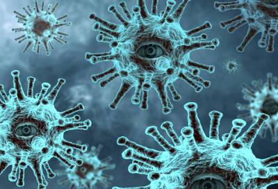 Вирусологи обнаружили, что коронавирус стал проникать в организм в обход антител - online47.ru - штат Огайо