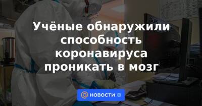 Учёные обнаружили способность коронавируса проникать в мозг - news.mail.ru - штат Мэриленд - Covid-19