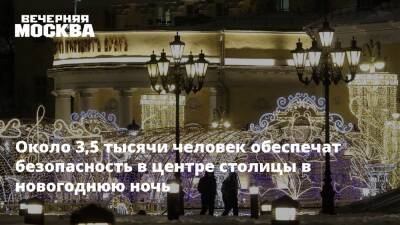 Около 3,5 тысячи человек обеспечат безопасность в центре столицы в новогоднюю ночь - vm.ru - Москва