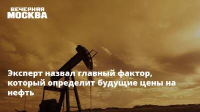 Артем Деев - Эксперт назвал главный фактор, который определит будущие цены на нефть - vm.ru - Сша