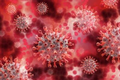 Трагический рекорд: распространение коронавируса в Нью-Йорке достигло 50 тысяч случаев в день и мира - cursorinfo.co.il - Нью-Йорк - штат Нью-Йорк - Нью-Йорк - Covid-19