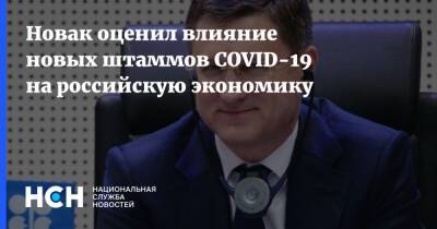 Александр Новак - Новак оценил влияние новых штаммов COVID-19 на российскую экономику - nsn.fm