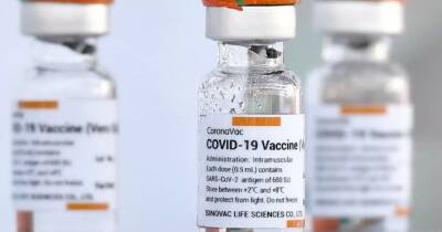 В Украине запустят производство вакцины CoronaVac: озвучены сроки - focus.ua - Украина