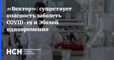 Александр Семенов - «Вектор»: существует опасность заболеть COVID-19 и Эболой одновременно - nsn.fm - Екатеринбург - Covid-19