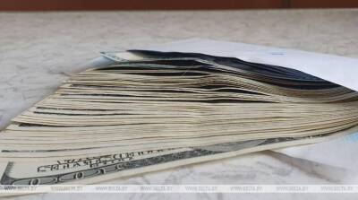 Власти Мичигана выплатили более $8 млрд по ложным заявкам на получение соцпомощи - belta.by - Белоруссия - Сша - Минск - штат Мичиган