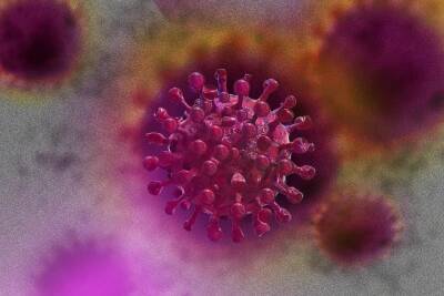 Ученый назвал способ борьбы с Омикрон-штаммом коронавируса и мира - cursorinfo.co.il - Кейптаун