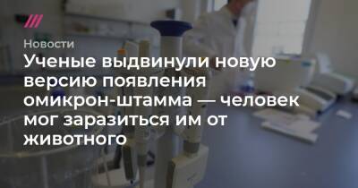 Ученые выдвинули вторую версию появления омикрон-штамма — человек мог заразиться им от животного - tvrain.ru