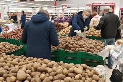 Оценен риск дефицита картофеля в России - lenta.ru - Россия