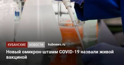 Петр Чумаков - Новый омикрон-штамм COVID-19 назвали живой вакциной - kubnews.ru - Россия