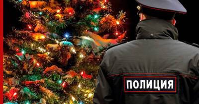 Как избежать штрафов во время празднования Нового года, рассказала юрист - profile.ru