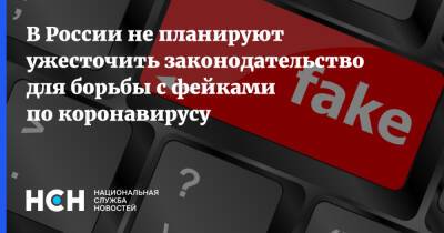 Марья Шукшина - В России не планируют ужесточить законодательство для борьбы с фейками по коронавирусу - nsn.fm - Россия