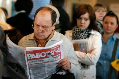 В Петербурге число безработных уменьшилось в 4 раза за прошедший год - ivbg.ru - Санкт-Петербург - Украина - Петербург