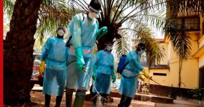 Гвинея снова столкнулась с угрозой эпидемии вируса Эбола - profile.ru - Либерия - Гвинея