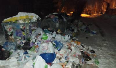 Украина - Киев утопает в мусоре: коммунальщики не справляются с вывозом во время снегопадов, фото - politeka.net - Киев - Печерск