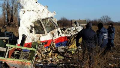 Игорь Гиркин - Стеф Блок - Нидерланды упорно выгораживают Украину в деле о сбитом Боинге рейса MH17 - argumenti.ru - Украина - Малайзия