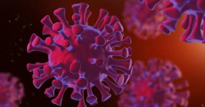 США классифицировали коронавирус как «биооружие» - ren.tv - Китай - Ухань