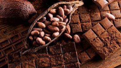 Из-за климата мир может остаться без какао и шоколада - inform-ua.info - Кот Дивуар - Гана