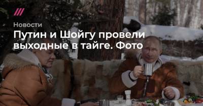 Михаил Зеленский - Путин и Шойгу провели выходные в тайге. Фото - tvrain.ru