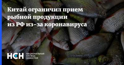 Китай ограничил прием рыбной продукции из РФ из-за коронавируса - nsn.fm - Россия - Китай
