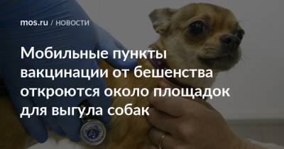 Мобильные пункты вакцинации от бешенства откроются около площадок для выгула собак - mos.ru - Москва - Новомосковск