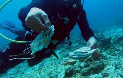 Рифы на Филиппинах загрязнены масками - korrespondent.net - Филиппины - Манила