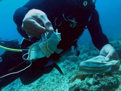 На Филиппинах дайверы нашли риф, покрытый медицинскими масками - gordonua.com - Филиппины - Манила
