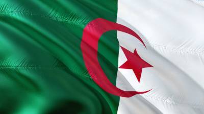 Студенты Алжира выступили против нового закона об отмене гражданства - riafan.ru - Алжир - Алжирская Народная Демократическая Республика