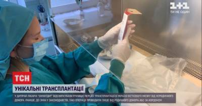 Торт и подарки: в больнице "Охматдет" отпраздновали годовщину первой трансплантации в Украине костного мозга - tsn.ua - Киев