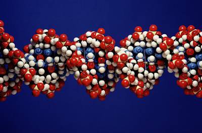Американские ученые пришли к выводу, что новые генные вакцины могут изменять ДНК человека - nakanune.ru