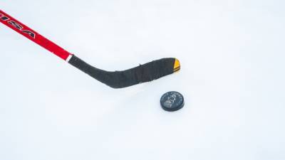 НХЛ отложила возвращение «Ванкувера» к матчам из-за коронавируса - mir24.tv