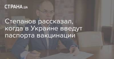 Максим Степанов - Степанов рассказал, когда в Украине введут паспорта вакцинации - strana.ua - Евросоюз