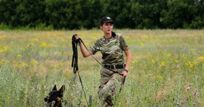 В Украине собак научили выявлять больных коронавирусом по запаху (видео) - focus.ua - Сумская обл.