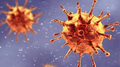 На Запоріжжі виявили новий штам коронавірусу: подробиці - inform.zp.ua - місто Київ