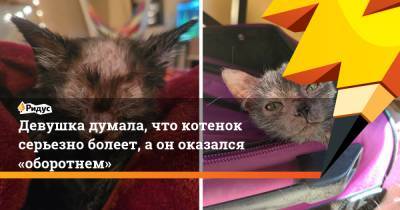 Девушка думала, что котенок серьезно болеет, аоноказался «оборотнем» - ridus.ru - штат Мэн