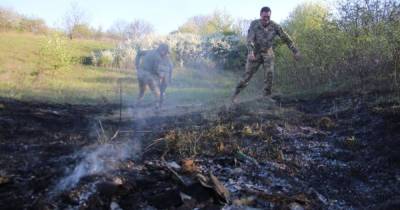 На Донбассе боевики выпустили управляемую ракету: вблизи Попасной произошел пожар - tsn.ua