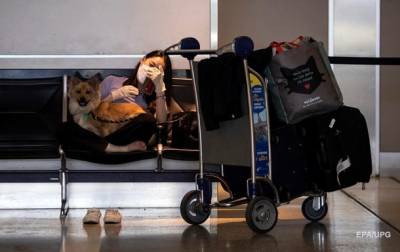 США вводят запрет на ввоз собак из ряда стран, включая Украину - korrespondent.net - Украина - Сша