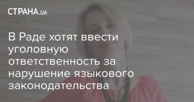 Евгения Кравчук - Никита Потураев - В Раде хотят ввести уголовную ответственность за нарушение языкового законодательства - strana.ua