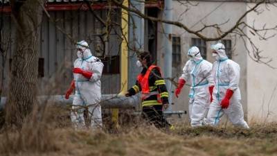 Миру грозит очередная пандемия? Эксперт оценил опасность нового штамма птичьего гриппа - 5-tv.ru - Китай