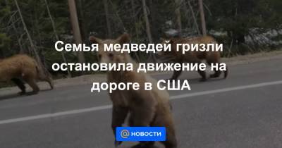 Семья медведей гризли остановила движение на дороге в США - news.mail.ru - штат Вайоминг