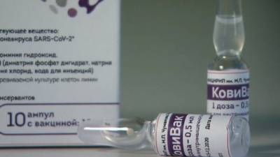 В России вакцину от COVID-19 при необходимости смогут изменить в течение недели - newinform.com - Россия